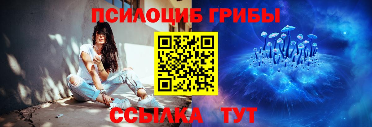 Лениногорск  Галлюциногенные грибы прущие грибы  Галлюциногенные грибы ЛСД  Вход с VPN 